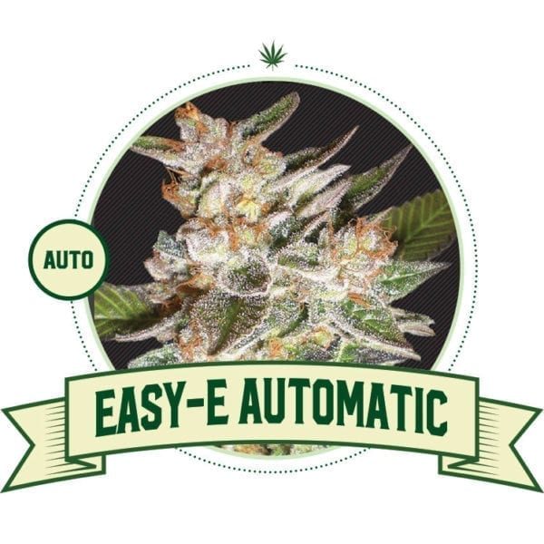 Easy-E Automatic