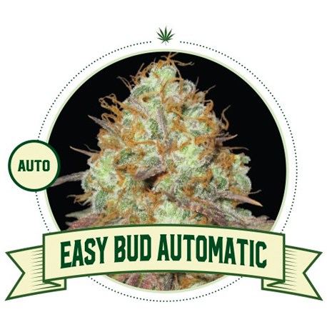 Easy Bud Automatic