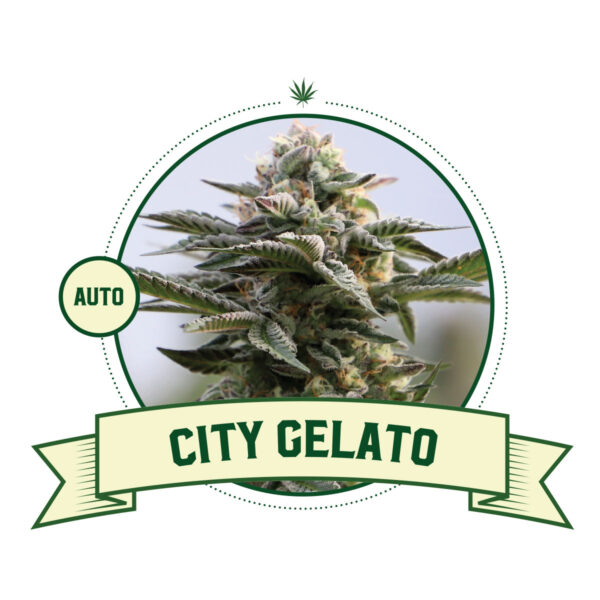 City Gelato Automatic